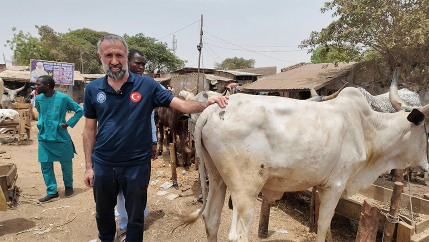 Kardeşlerini Unutma Derneği Afrika’da Kurban Hazırlıklarını Sürdürüyor